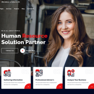Consey - Business and Consultation WordPress Theme