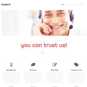 Consulting Firm WordPress Theme