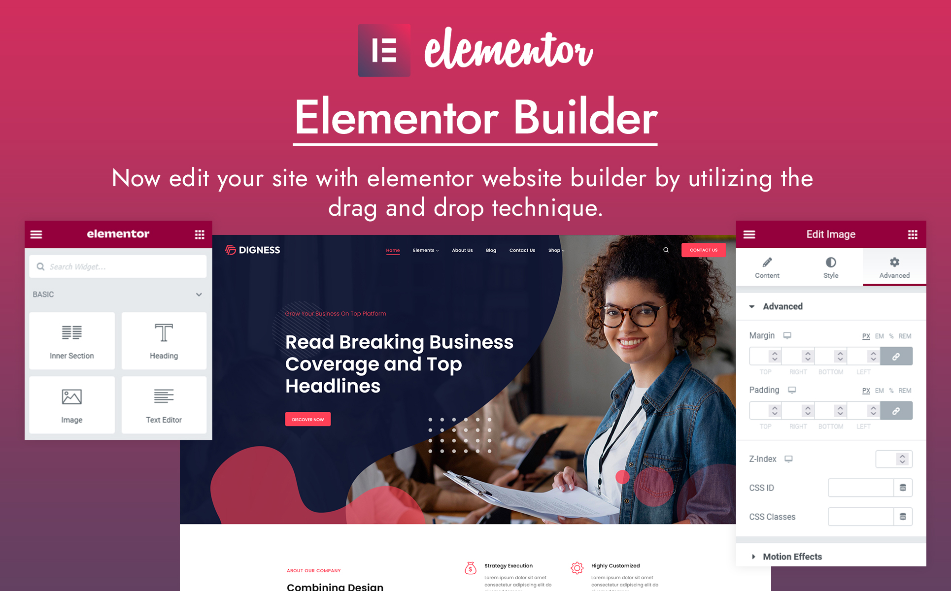 Digness - Consulting Business WordPress Theme
