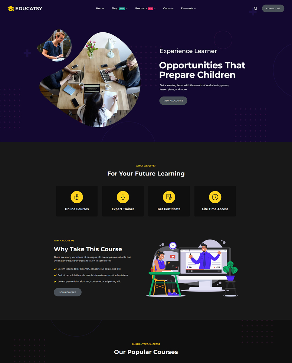 Educatsy - Education & Online Courses Elementor WordPress Responsive Theme