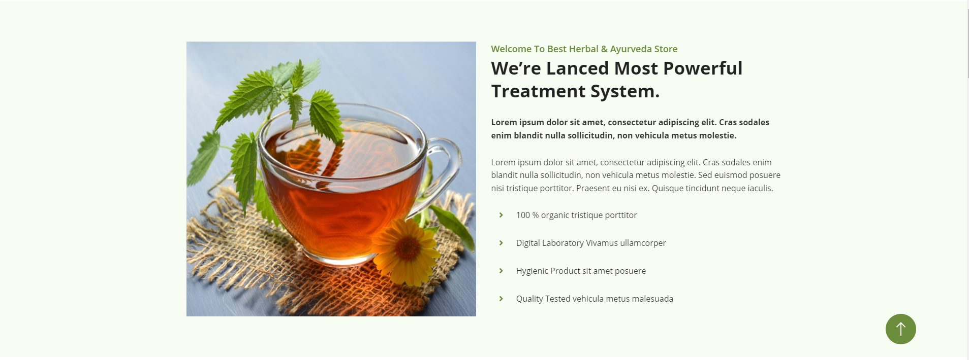 Herbal - Pure Ayurveda WordPress Theme