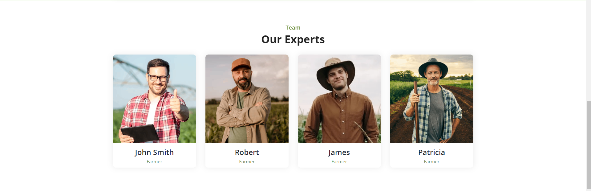 Herbal - Pure Ayurveda WordPress Theme