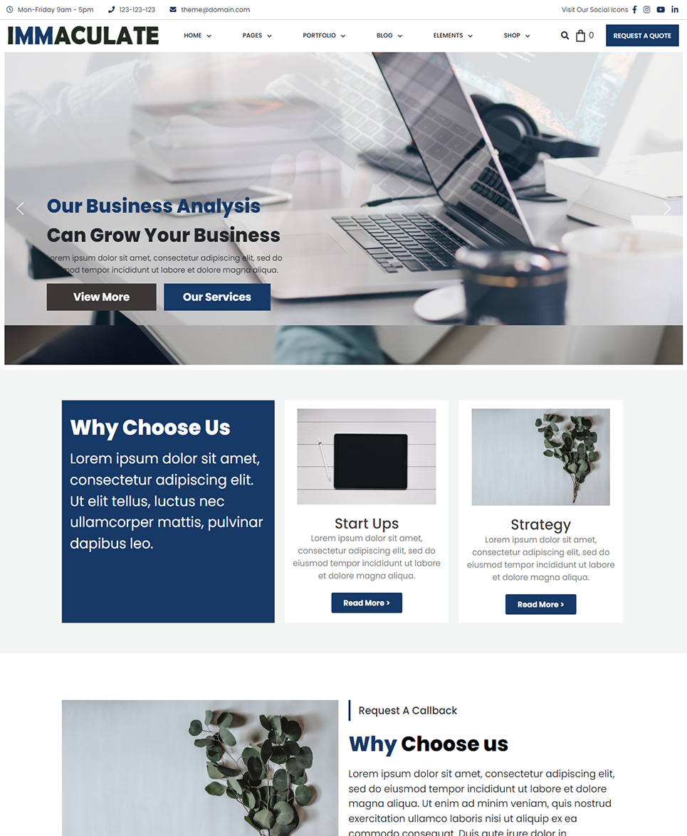 Immaculate Business - Multipurpose Consulting Wordpress Theme
