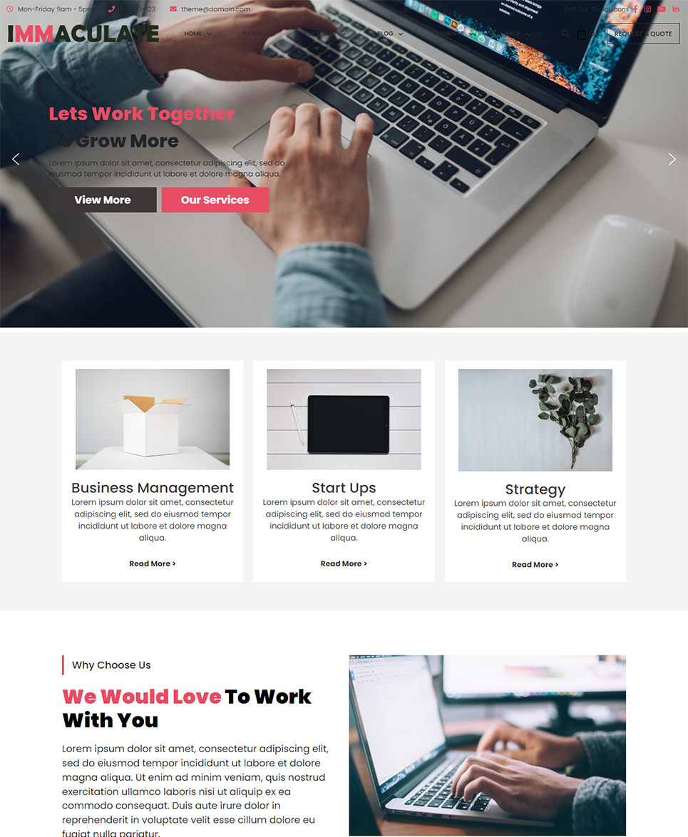 Immaculate Business - Multipurpose Consulting Wordpress Theme