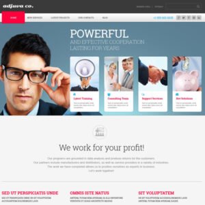 Metallic Management Business WordPress Theme