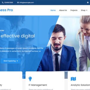 Soft Business Pro - Clean and Modern WordPress Business Theme
