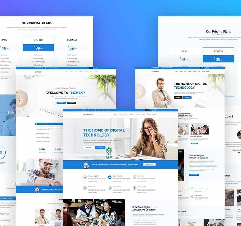 Themexp - Corporate Responsive WordPress Theme
