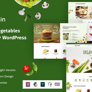 Freshin - Food & Vegetables Elementor WordPress Theme