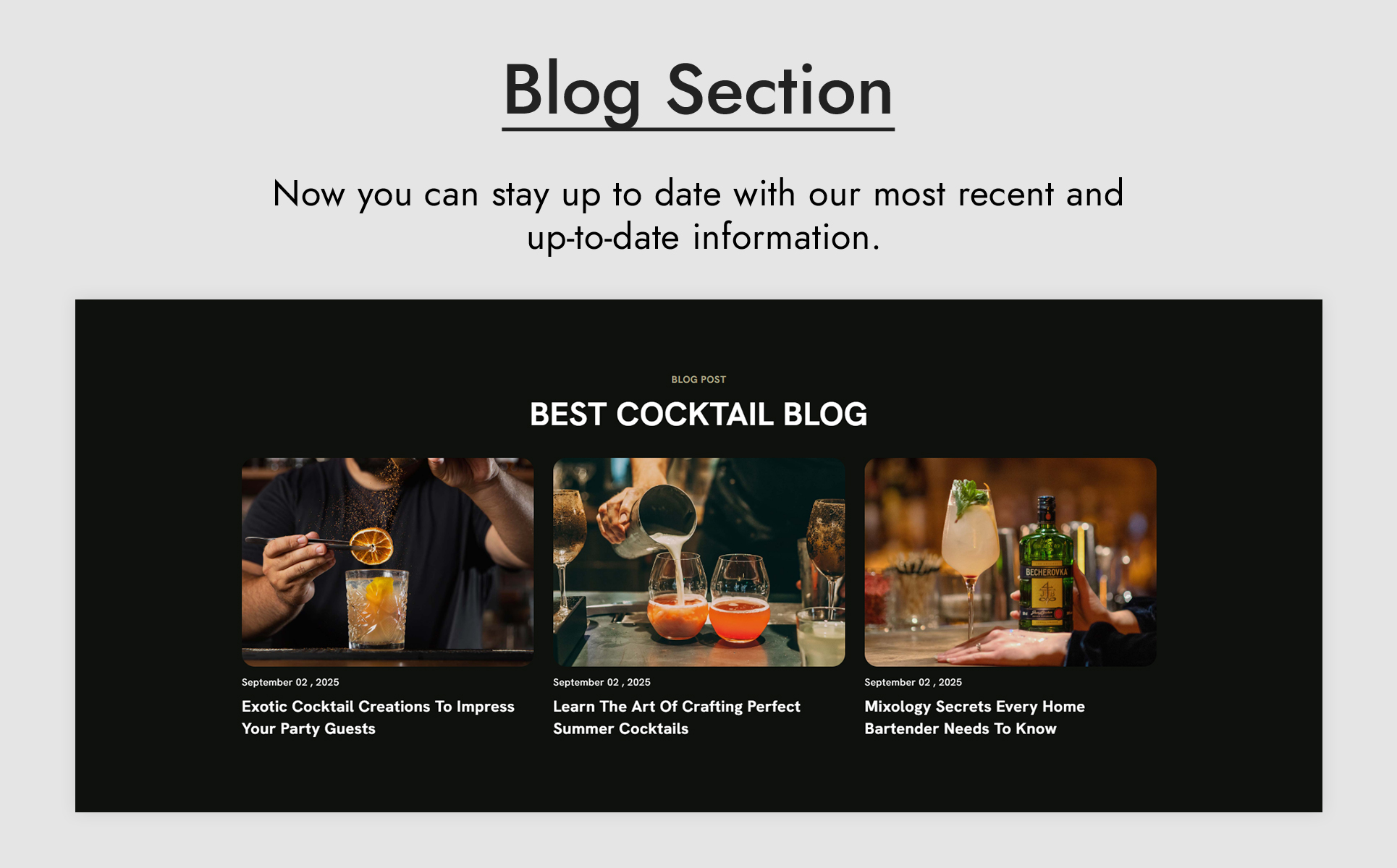 Freshto Cocktail Bar and Restaurant WordPress Theme